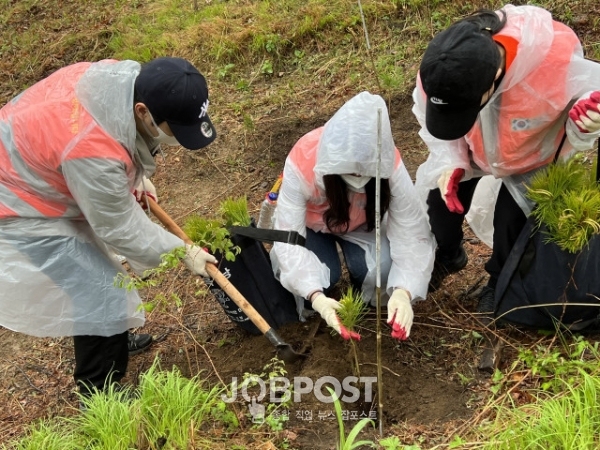 자원봉사자들이 소나무를 심고 있다 / 사진제공 한국중앙자원봉사센터