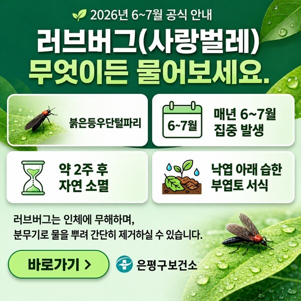은평구, <b>러브버그</b> 집중 발생 대비 비상방역체계 가동