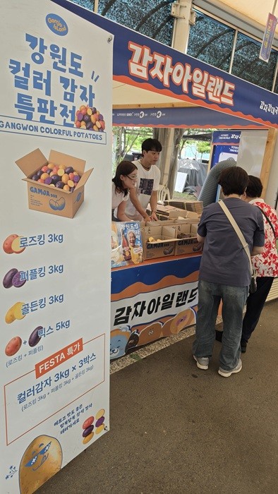 사진 = 강원대학교 임영석 감자연구소 제공